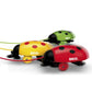 BRIO Pull Ladybug Assortment / Pull Baby Toy / Ladybug Toy - 30320